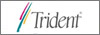 Trident Microsystems, Inc. Pic