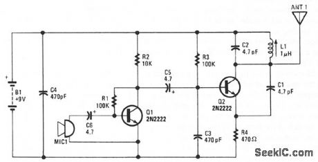 WIRELESS_FM_MICROPHONE