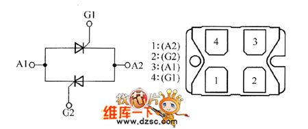 Triode Transistor MSS40,MSS50 Internal Circuit