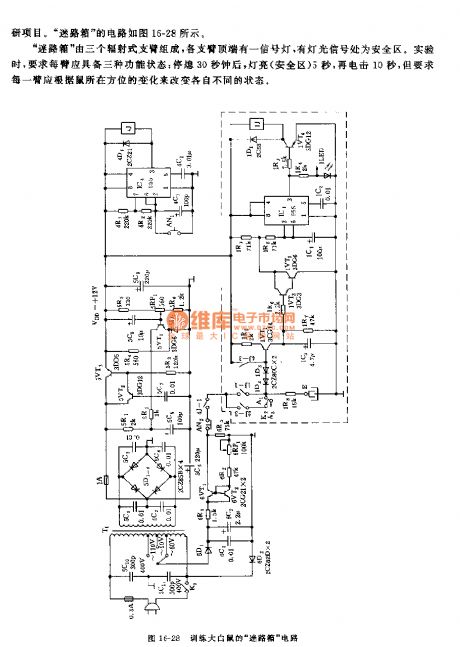 555 big white mouse training