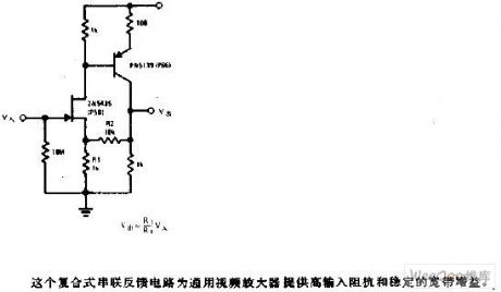 The Amplifier Circuit of Low Capacitance with High Resistance