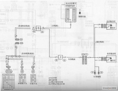 The Reversing Light Circuit of the Bluebird Car
