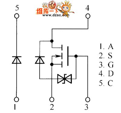QS5U12,QS5U13 Internal Circuit