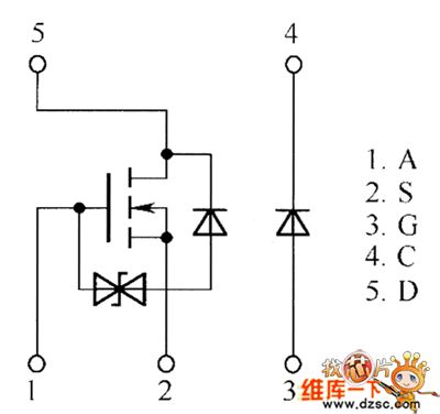 QS5U16, QS5U17 Internal Circuit