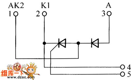 Transistor CTD100GK08 and CTT116GK12 internal circuits