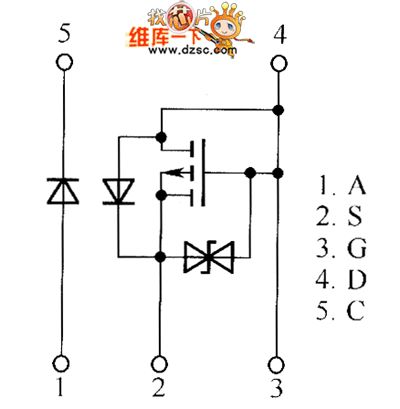 QS5U21 and QS5U23 internal circuit
