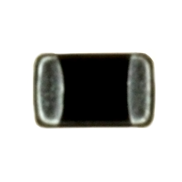 BKP2125HS101-T