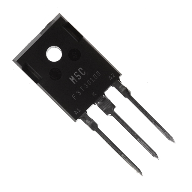 FST30100E3