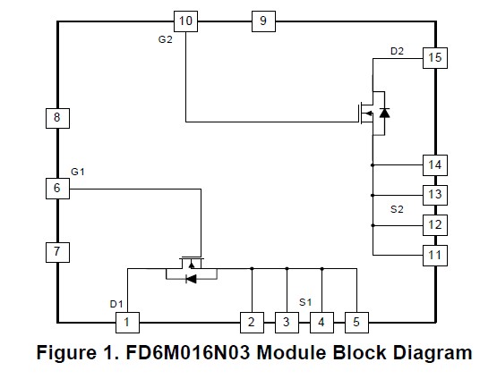FD6M016N03 Module Block Diagram