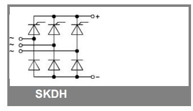 SKDH115-12 block diagram