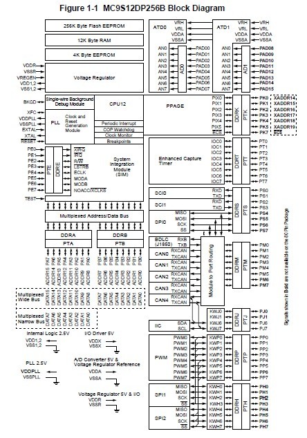 mc9s12dg256bcpv block diagram
