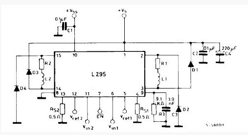L295N diagram
