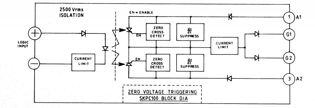 SKPC100Z/440 block diagram
