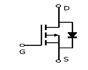 P1504EDG block diagram