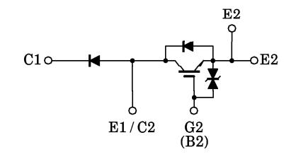 MG100Q1ZS40 block diagram