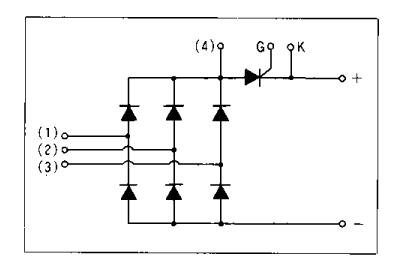 6R1TI30Y-080 block diagram