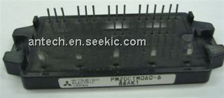 PM20CTM060-6 Picture
