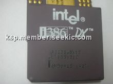 A80386DX25 Picture