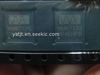 WM9713G06AEHP8 Picture