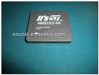 ST486DX2-66GS Picture