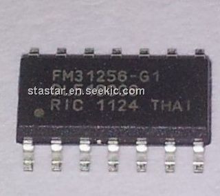 FM31256-G1 Picture