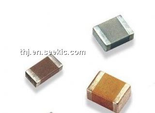 F950J107MTAAQ2 Picture