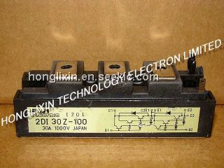 2DI30Z-100 Picture