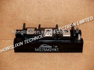 MG75M2YK1 Picture