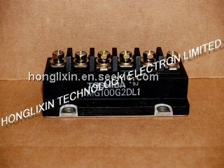 MG100G2DL1 Picture