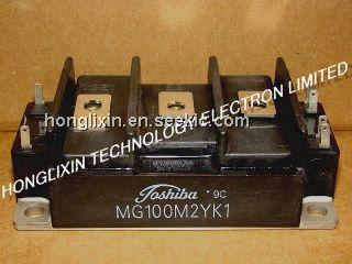 MG100M2YK1 Picture