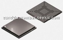 MC9S08AC16CFGE Picture