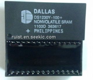 DS1230Y-100 Picture
