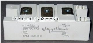 SKKT132/18E Picture