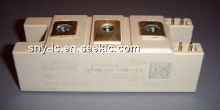 SKKT162B14E Picture