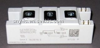 SKKT162B16E Picture