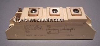 SKKT92/08D Picture