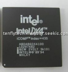 A80486DX4WB100 Picture