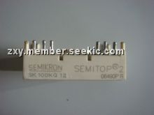 SK100KQ12 Picture
