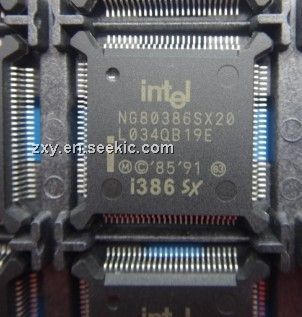 NG80386SX20 Picture