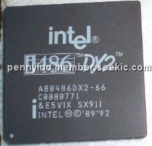 A80486DX2-66 Picture