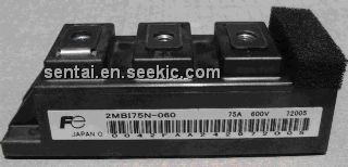 2MB175N-060 Picture