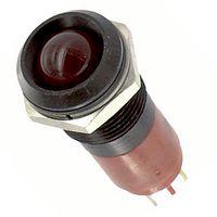 192A0350 Picture