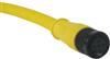 Part Number: 703000D02F120
Price: US $32.54-29.86  / Piece
Summary: 


 MICRO-CHANGE CORD, 1/2-20 FEMALE 3POS STR


 Assembly Cable Type:
PVC



 Cable Assembly Type:
Sensor




 Cable Color:
Yellow




 Cable Length:
12ft




 Connector Type A:
Straight Circular Plug…