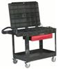 Part Number: 4535-88
Price: US $510.94-455.10  / Piece
Summary: 


 CART, CONTRACTOR, 500LB, WORKSTATION


 Carrying Capacity:
500lb



 External Height:
37.875