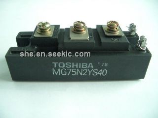 MG75N2YS40 Picture