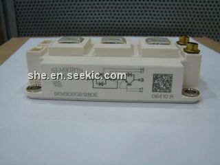 SKM300GB128DE Picture