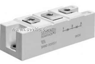 SKMD202E02 Picture