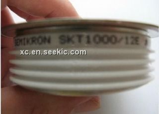 SKT1000/12E Picture
