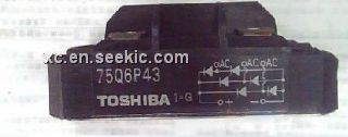 75Q6P43 Picture