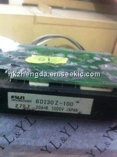 6DI30Z-100 Picture